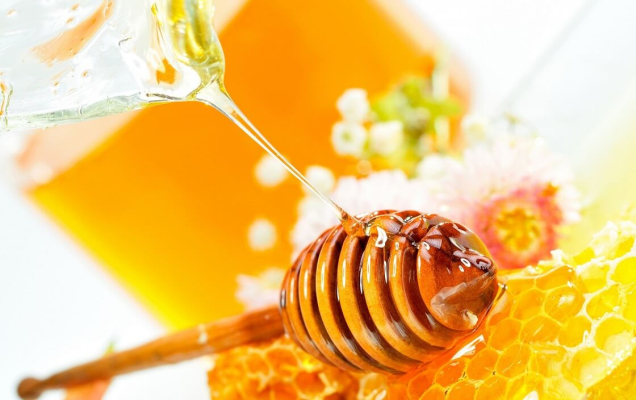 phân biệt mật ong rừng và mật ong nuôi