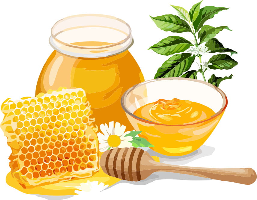 mật ong hoa cà phê có tác dụng gì
