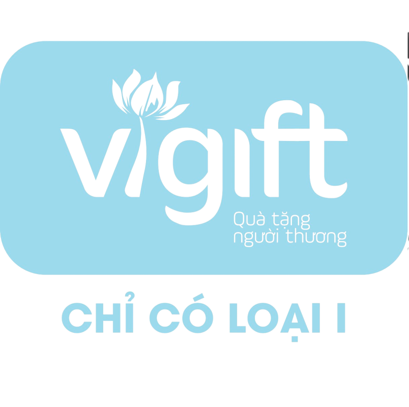 ViGift.vn